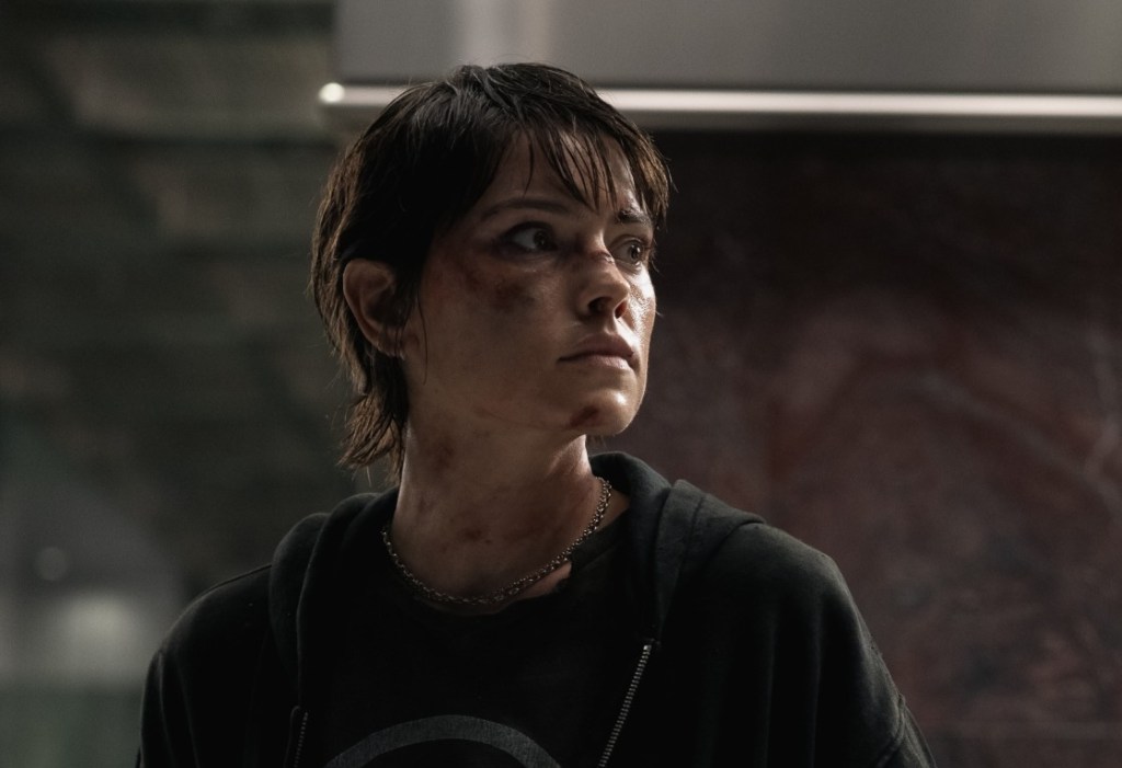 quiver-distribution-action-thriller-cleaner