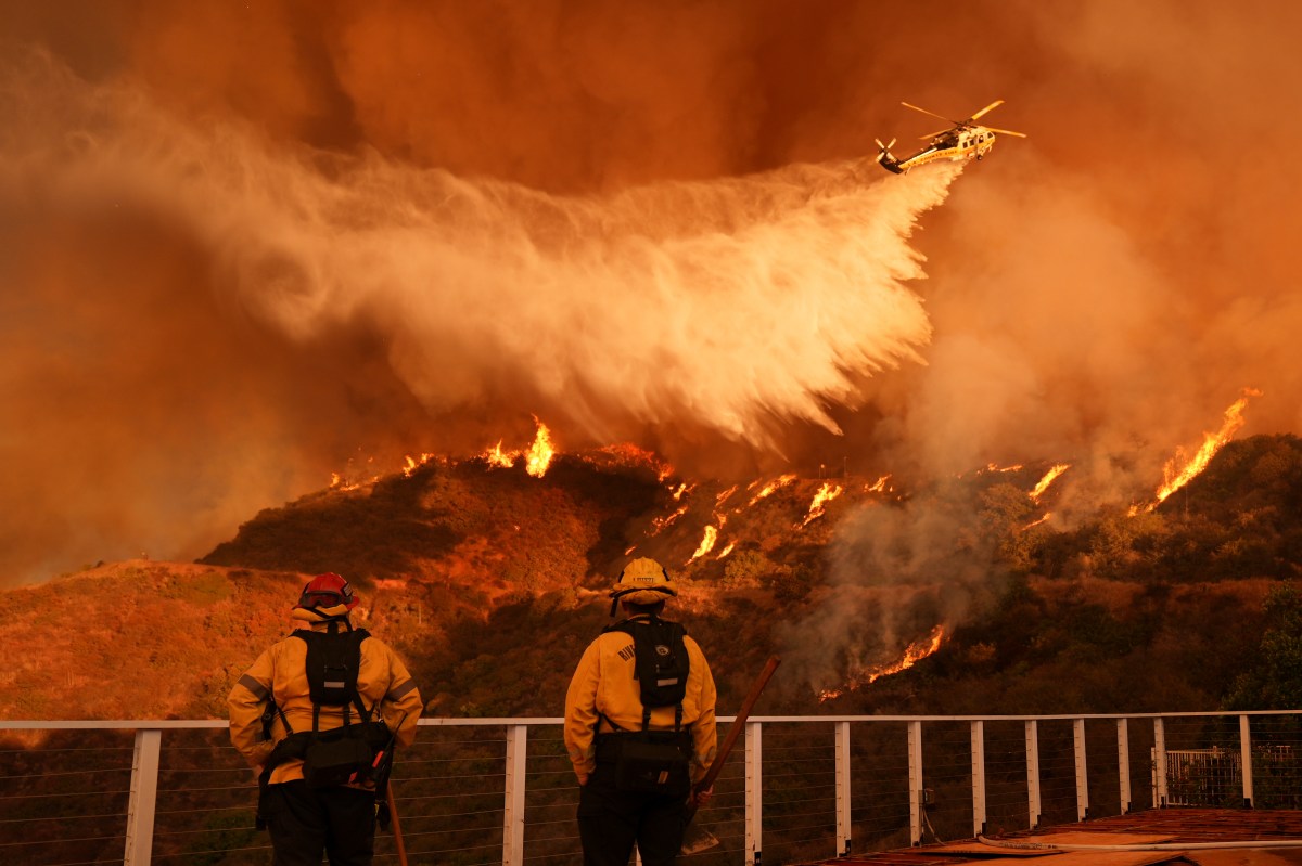 taylor-swift-wildfires-response