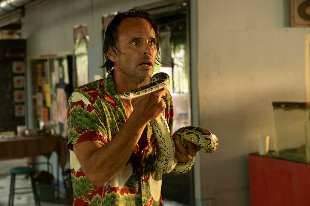 walton-goggins-white-lotus-snake-scene