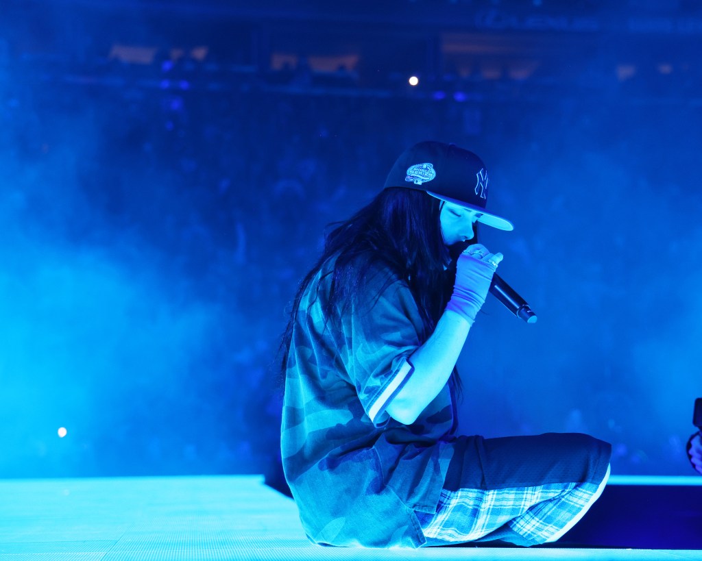 billie-eilish-onstage-incident