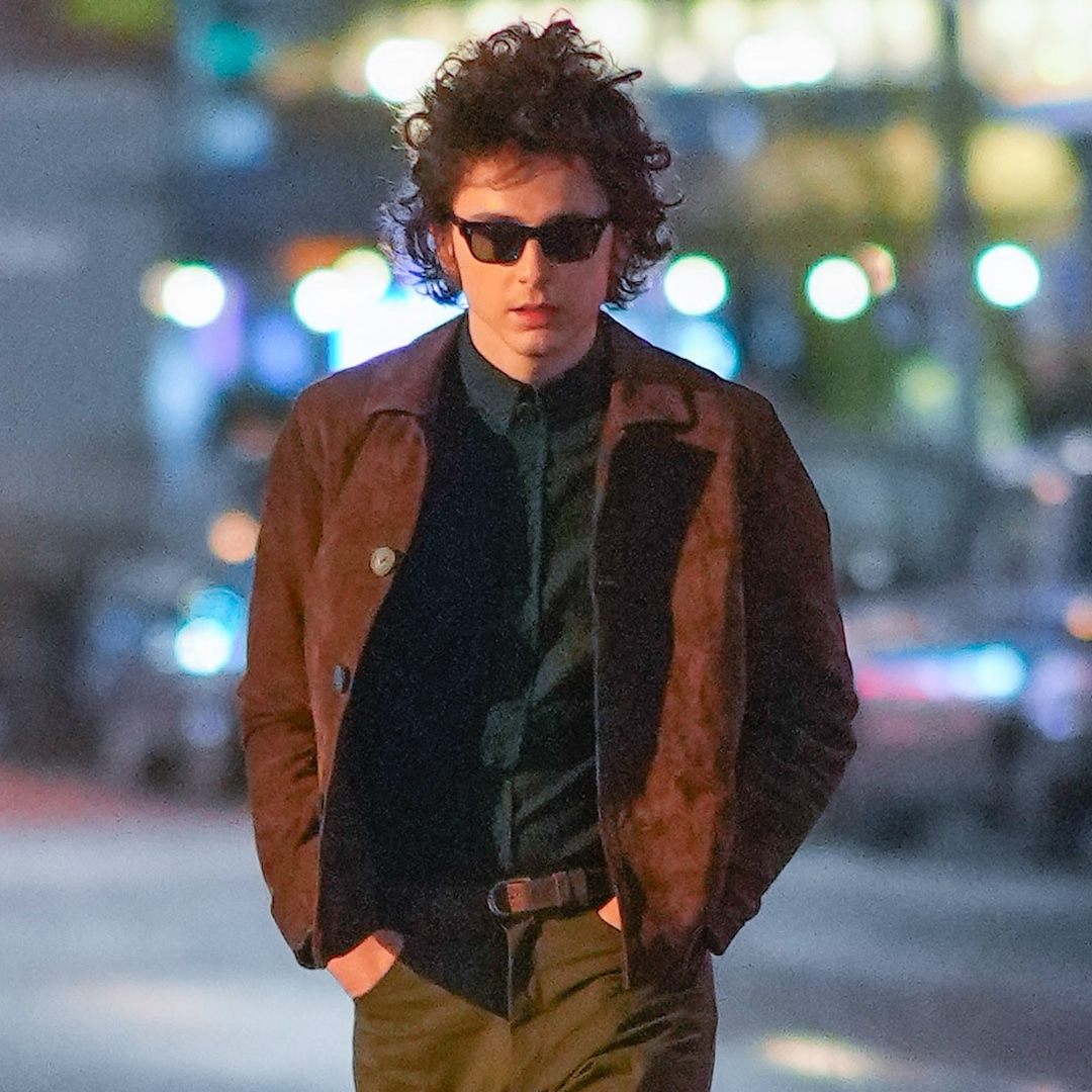 timothee-chalamet-bob-dylan-praise