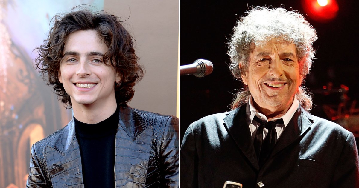 timothee-chalamet-bob-dylan-praise