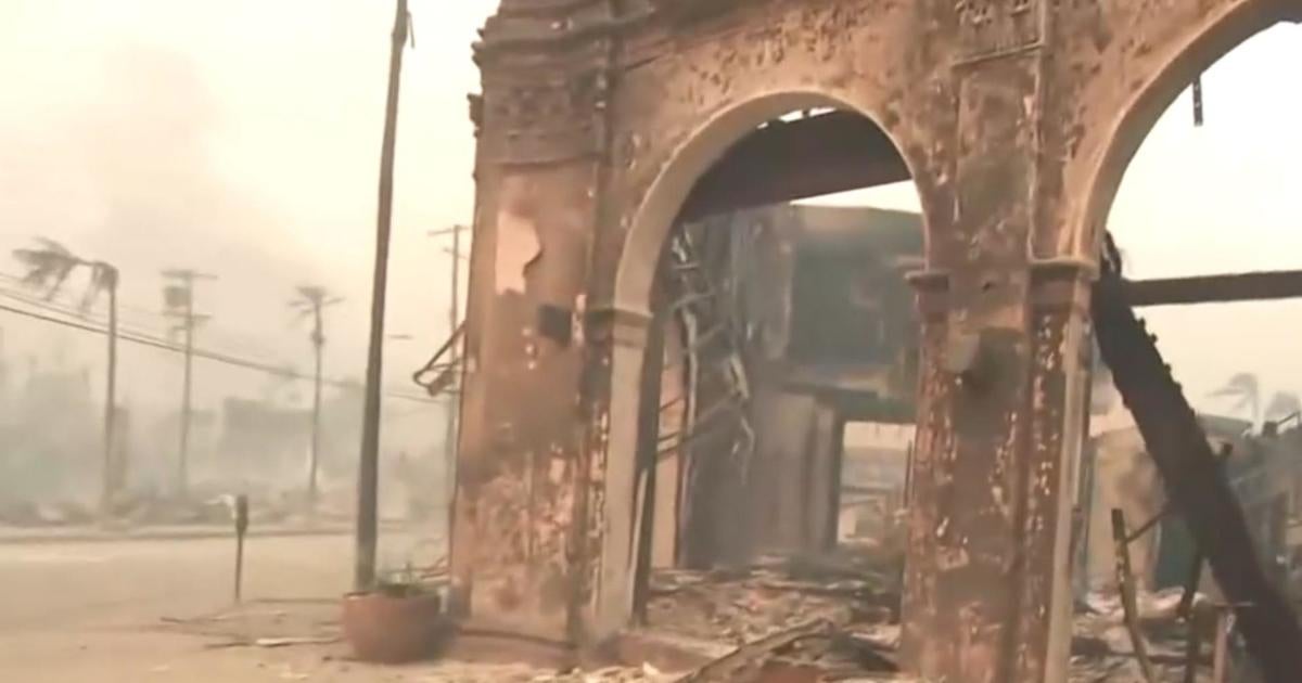 celebrities-wildfires-resilience