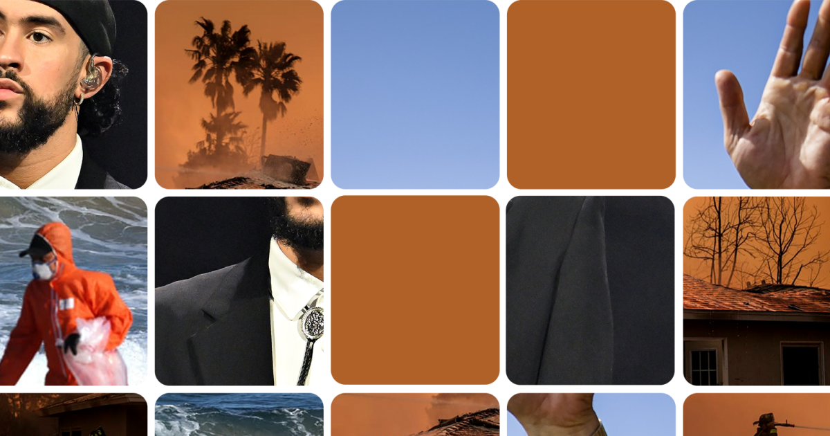 celebrity-scam-congress-quiz