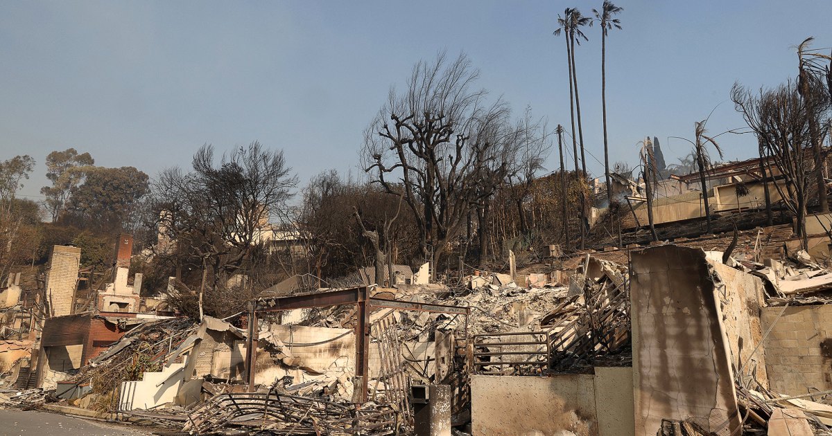 club-chalamet-home-loss