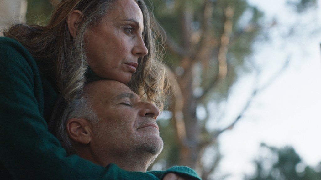 dead-dog-mad-world-rotterdam