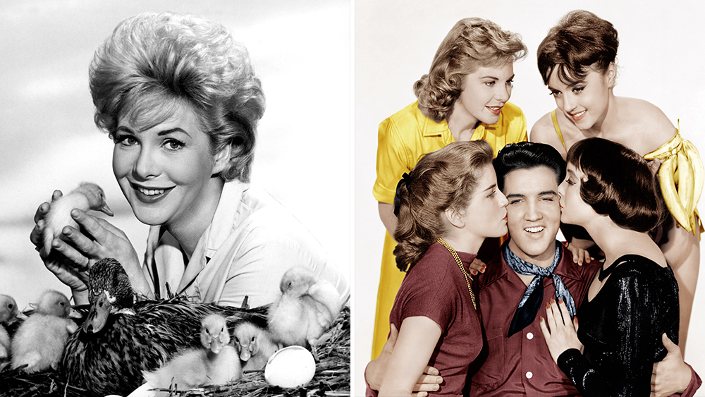 jan-shepard-king-creole-legacy