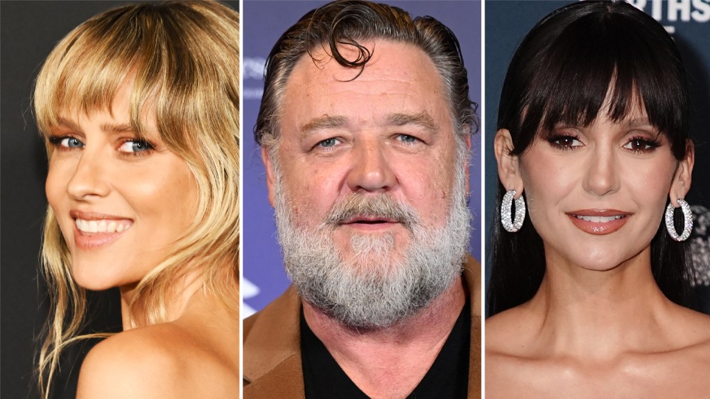 bear-country-action-thriller