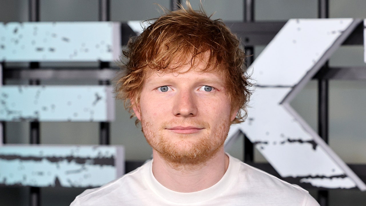 ed-sheeran-street-concert-police