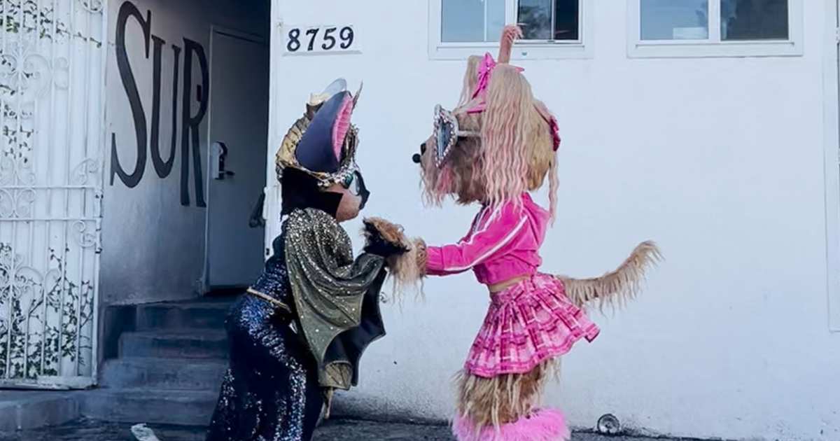 masked-singer-vanderpump-connection