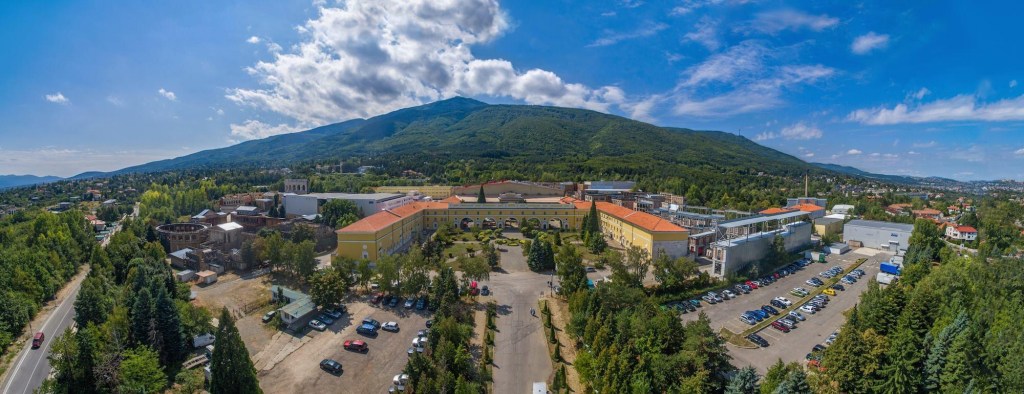 nu-boyana-free-dolphin-film-slate-efm