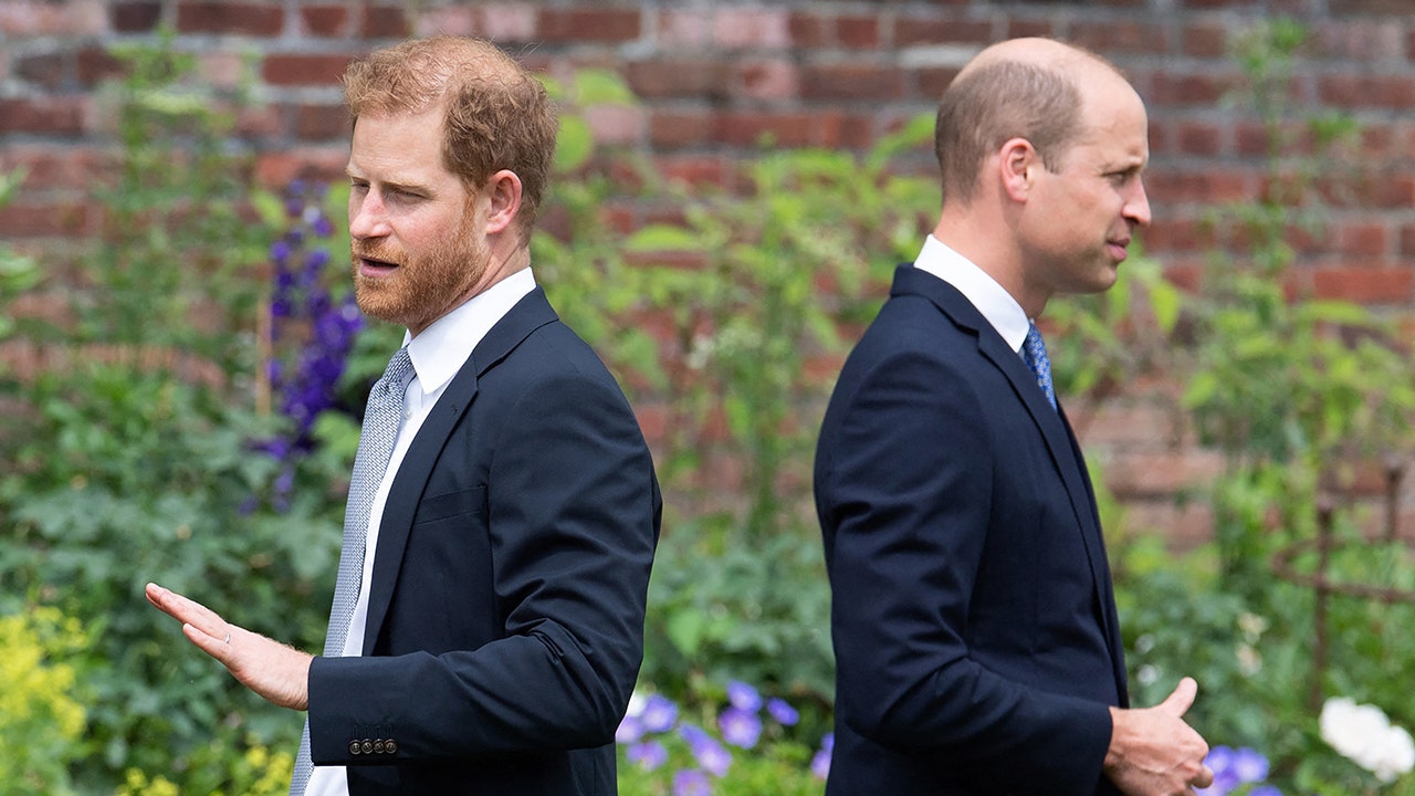 royal-rift-prince-harry-william-aide