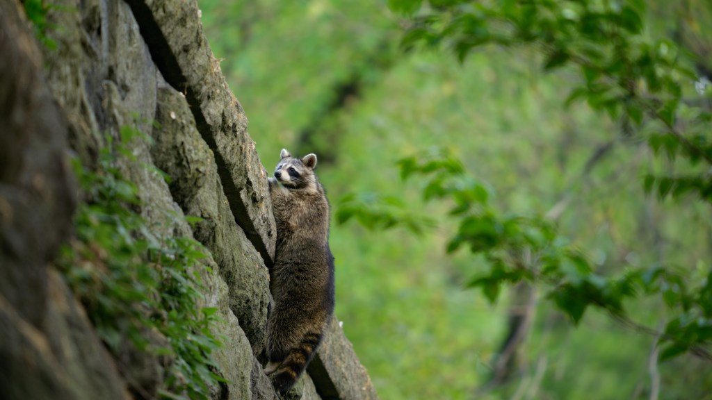 the-americas-nbc-unscripted