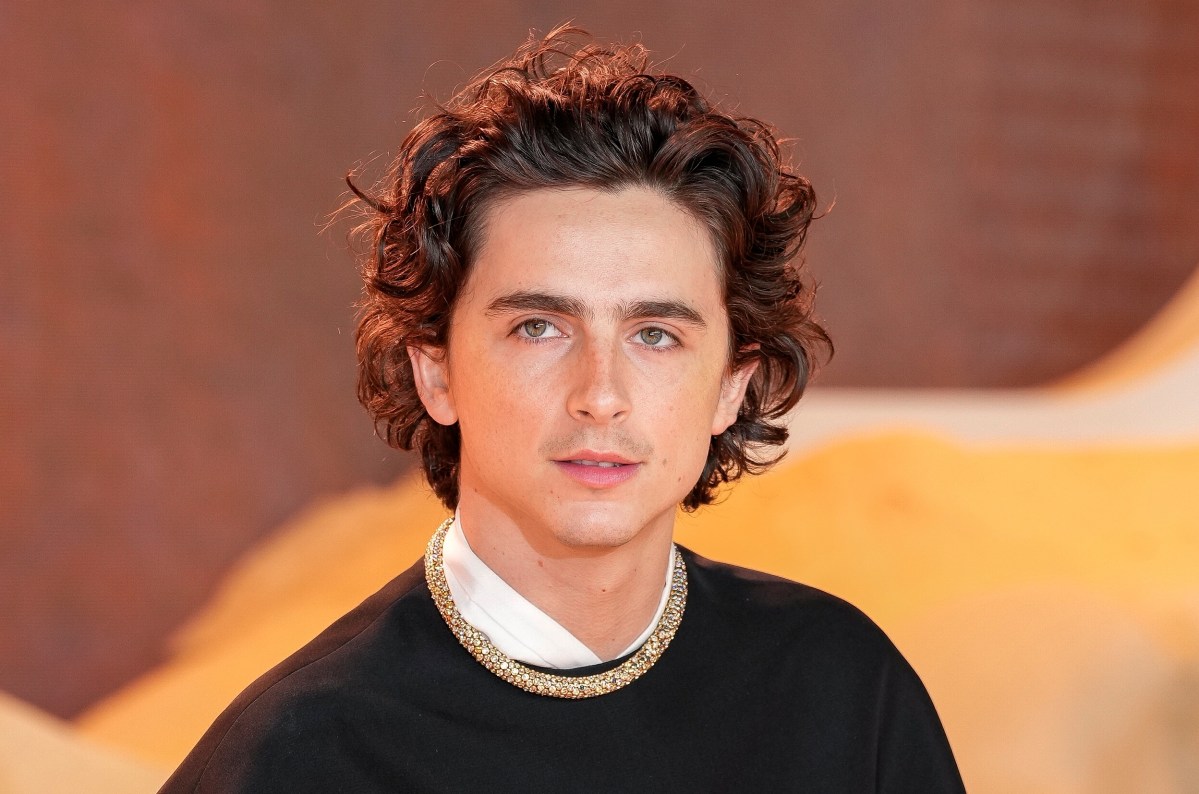 timothee-chalamet-netflix-films