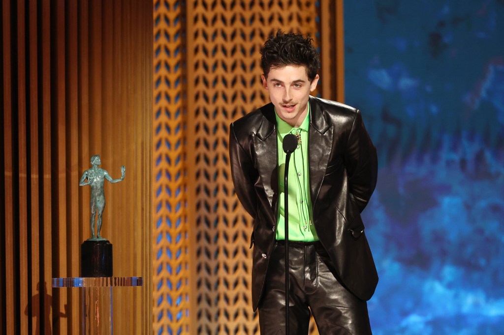 timothee-chalamet-sag-awards-aspirations