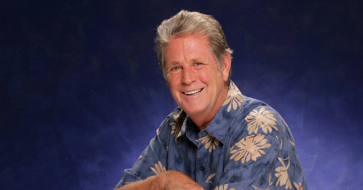 brian-wilson-american-idol-audition