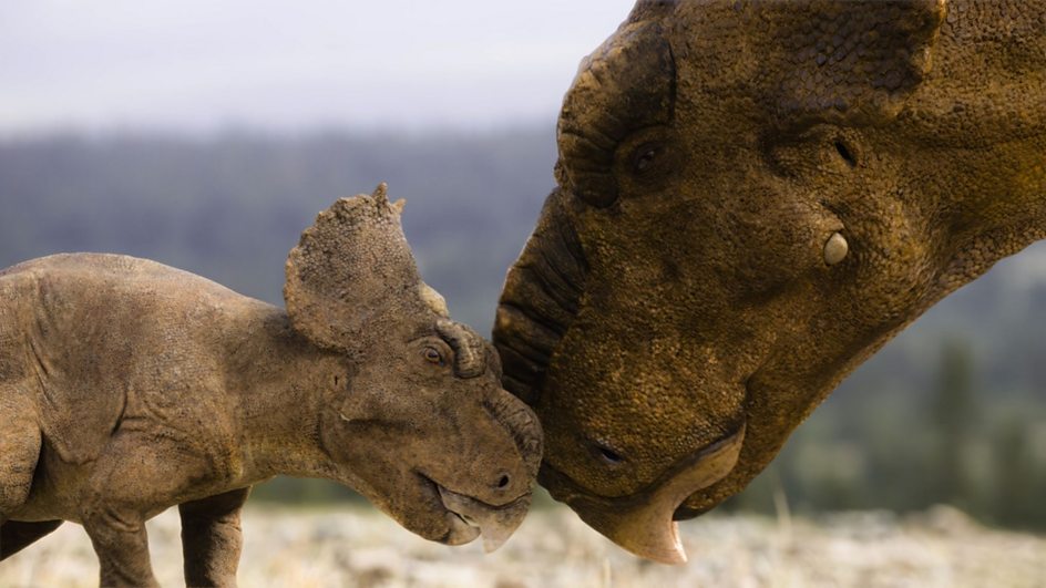 co-production-uk-china-bbc-walking-dinosaurs