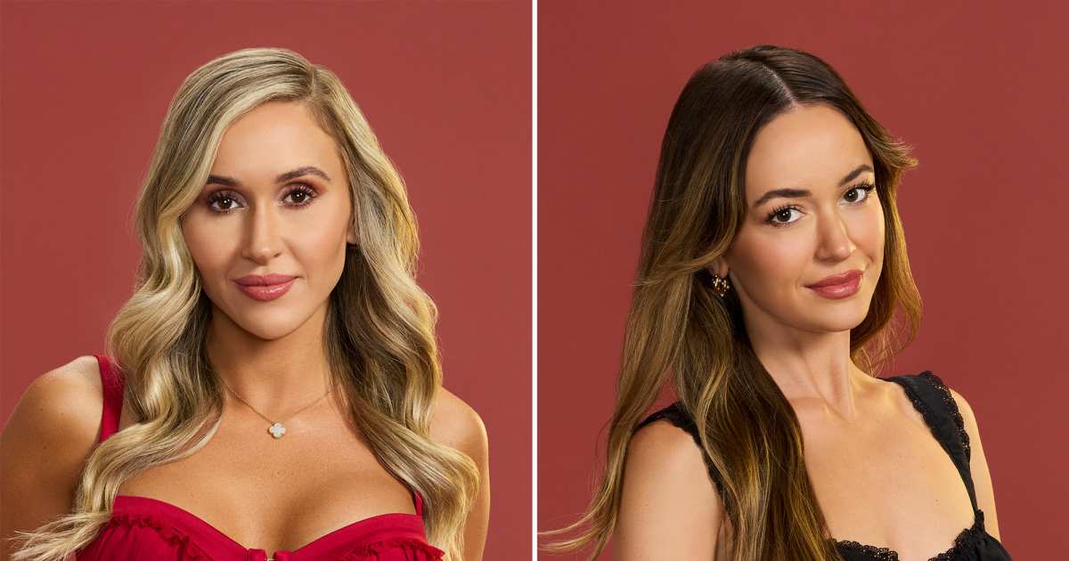 dina-the-bachelor-social-media-drama