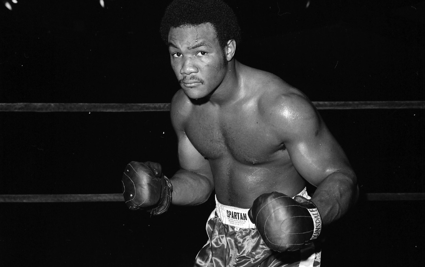 george-foreman-bob-dylan