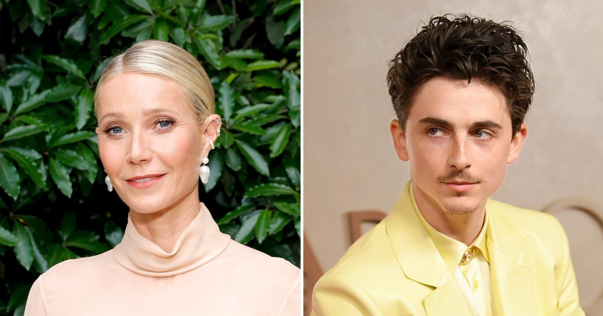 gwyneth-paltrow-timothee-chalamet-film