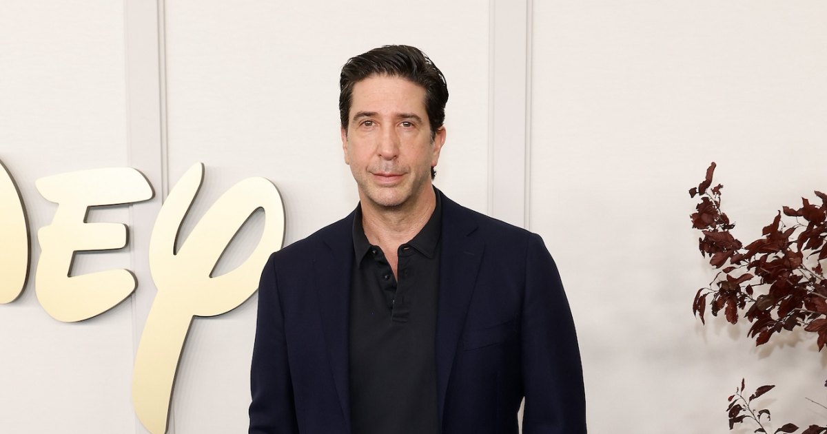 david-schwimmer-friends-theme-song
