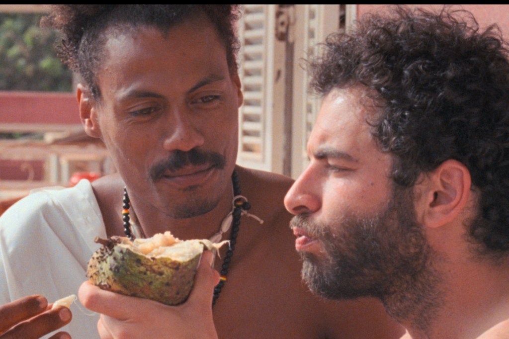 neo-colonialism-cannes-film-analysis