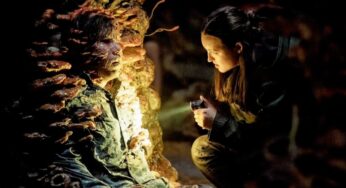 Unveiling the Secrets of The Last of Us Season 2, Episode 5: What’s Next for Fans?