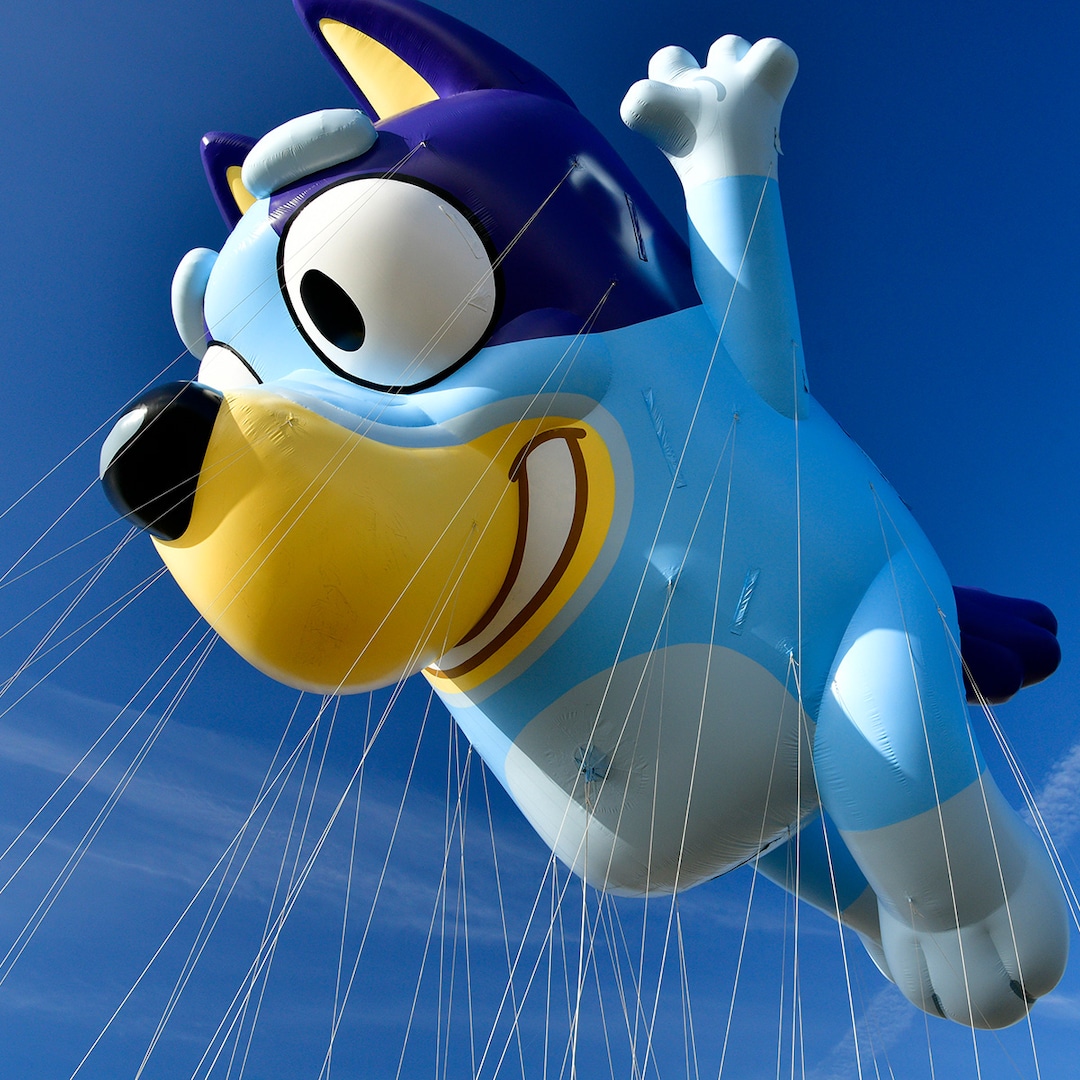 bluey-episode-removal