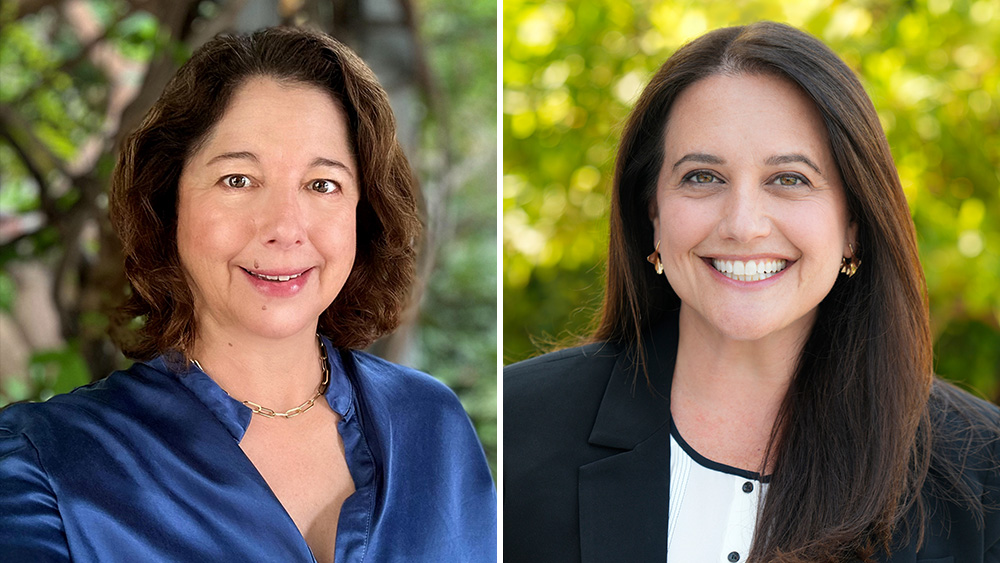 fox-entertainment-svp-appointments